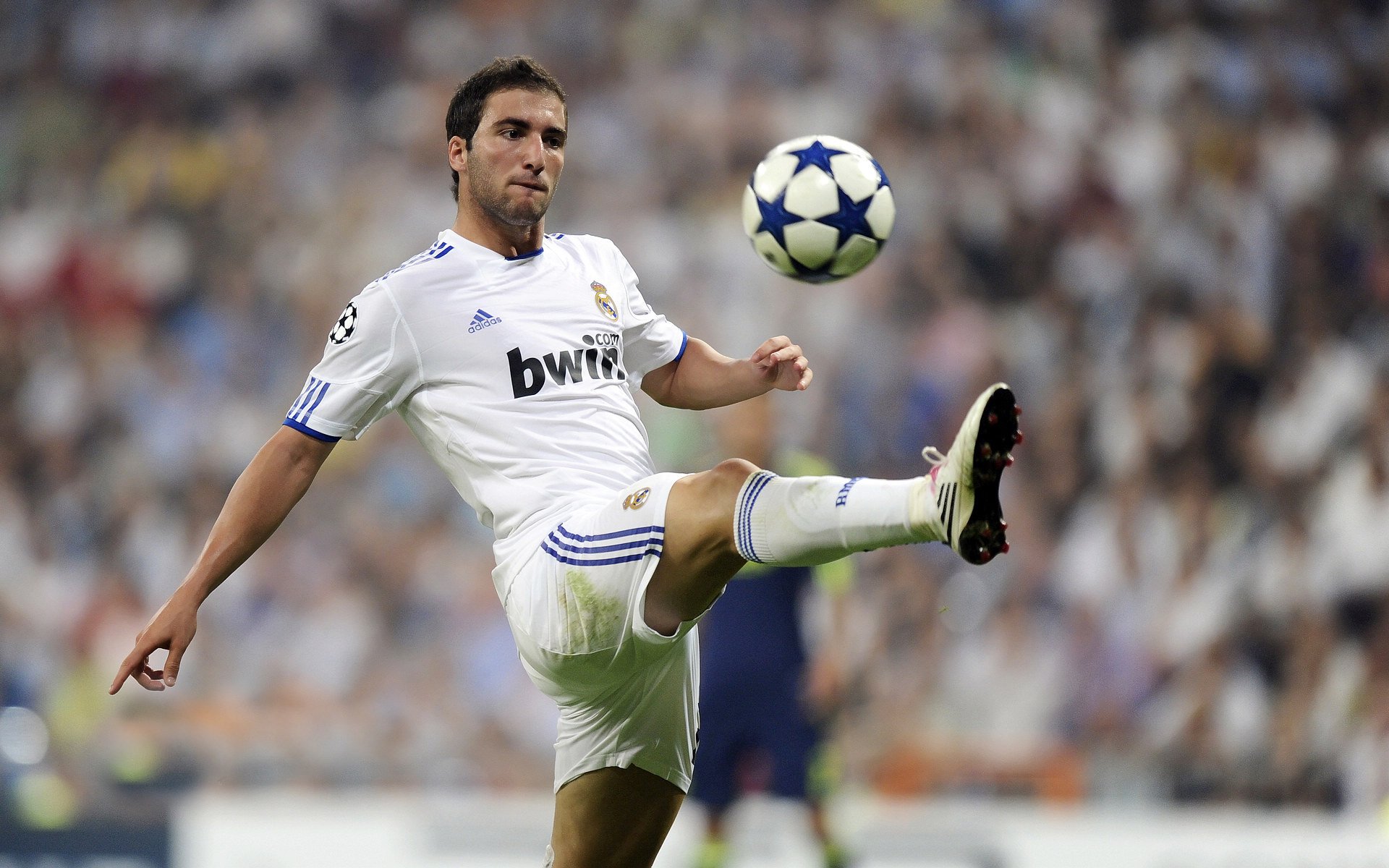 国家队缺乏对手情报收集团队支持